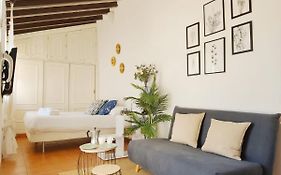 Stunning Attic With Private Terrace And Parking Optional